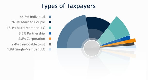 2024 By The Numbers- taxpayer types v2